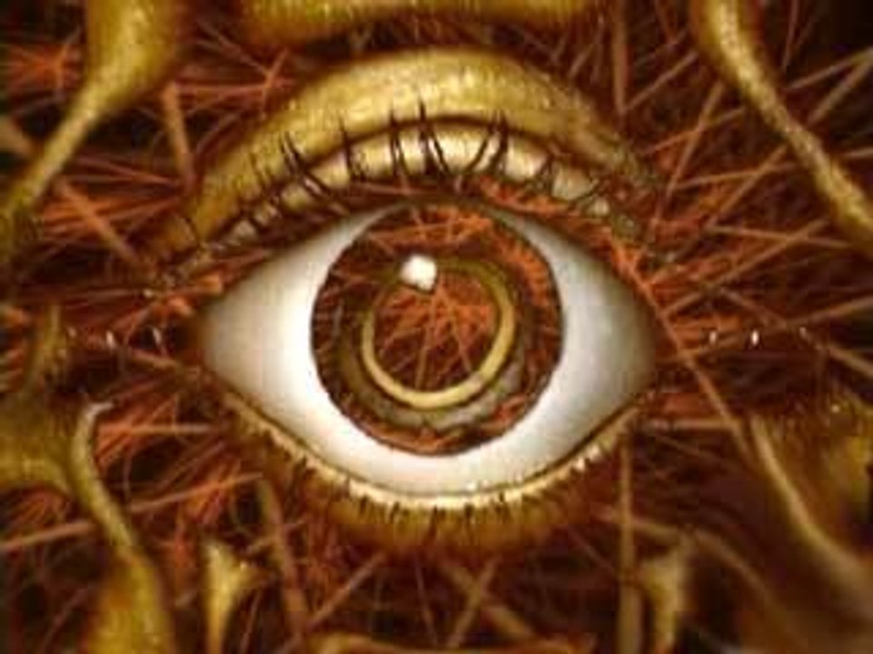 timegate 2007 - visual live performance