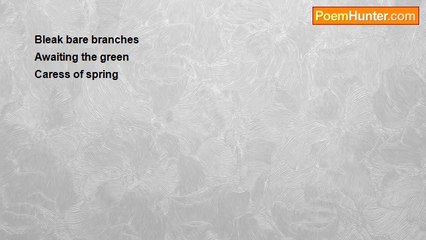 Brian Joseph Dickenson - Winter, A Haiku