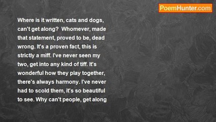 Audrey Heller - Cats And Dogs