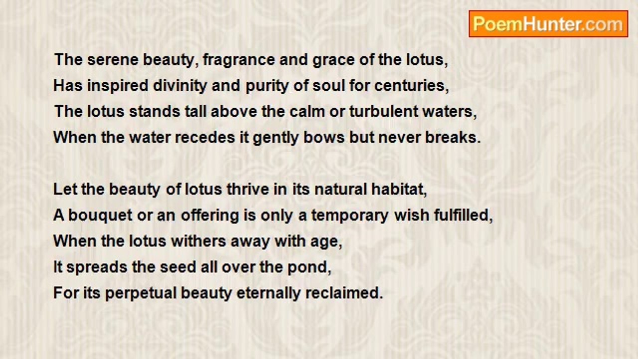 Jay P Narain - Lotus