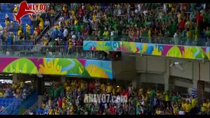 هدف المكسيك الاول في الكاميرون 0 برازيل 2014 كأس العالم brasil