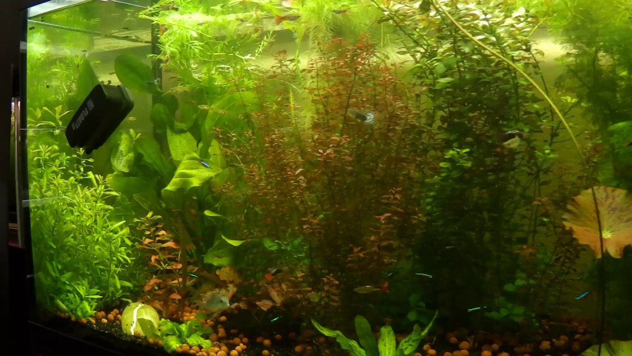 450 litres