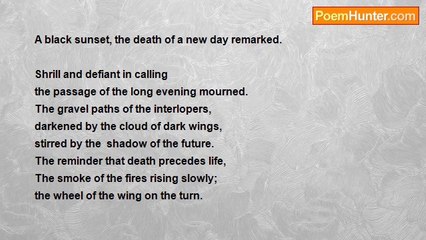 Geraldine Moorkens Byrne - Night Chorus