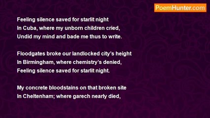 Sean Godley - Feeling Silence Saved for Starlit Night