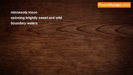 Richard Terrify - minnesota moon (haiku)