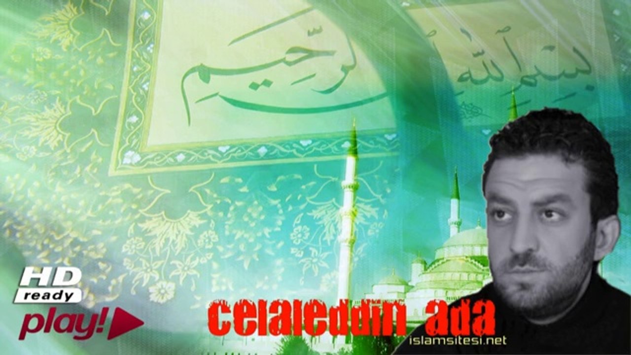 Gül Dalı - Celaleddin Ada