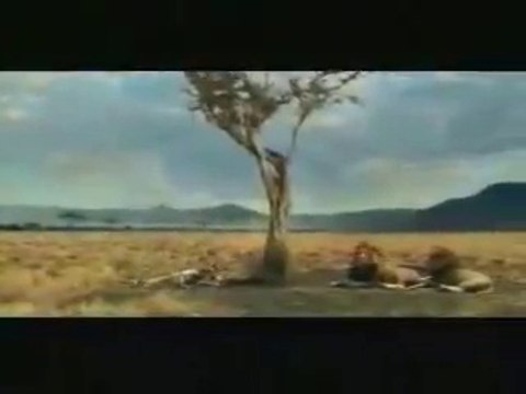 VID-20140611-WA0005.mp4