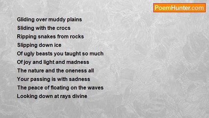 Jeff Hobbs - Steve Irwin - rest in peace