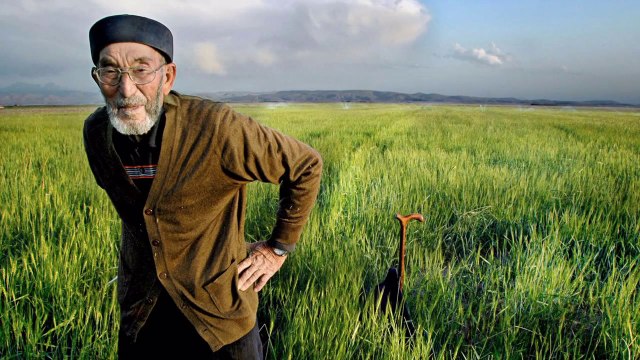 YURDUM İNSANI_ YAŞAMIN İÇİNDEN _ ELMA ATTIM YUVARLANDI - SELDA BAĞCAN