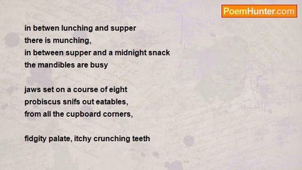 shimon weinroth - Munching