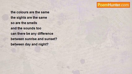 indira babbellapati - The Pull of Illusion