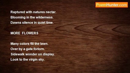 JOE POEWHIT - SMALL  POEMS # 20