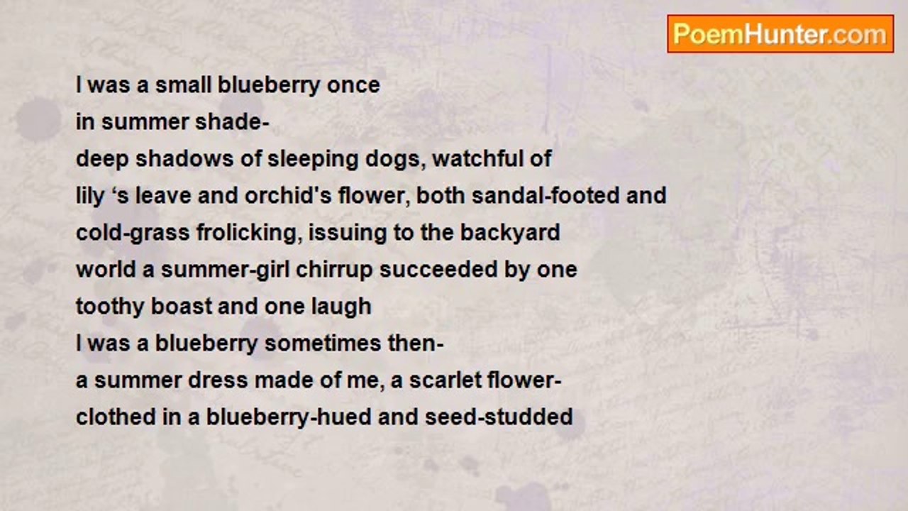 Natasa Tocuc - Blueberries