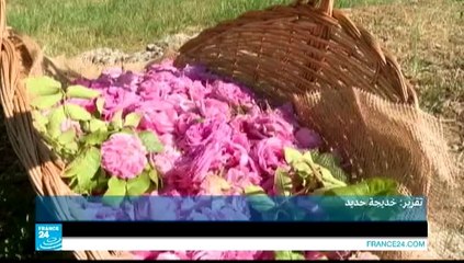ريبورتاج - غراس الفرنسية: من مدينة "الروائح النتنة" إلى مدينة العطور