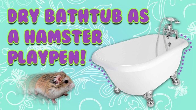 Bathtub As A HAMSTER PLAYPEN!