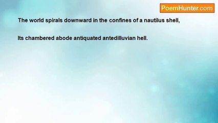 Shane Markie - Oyster