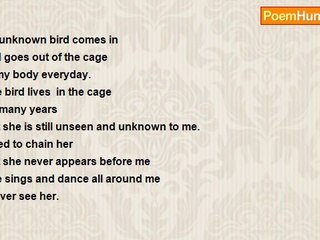 Ershad Mazumder - An Unknown Bird