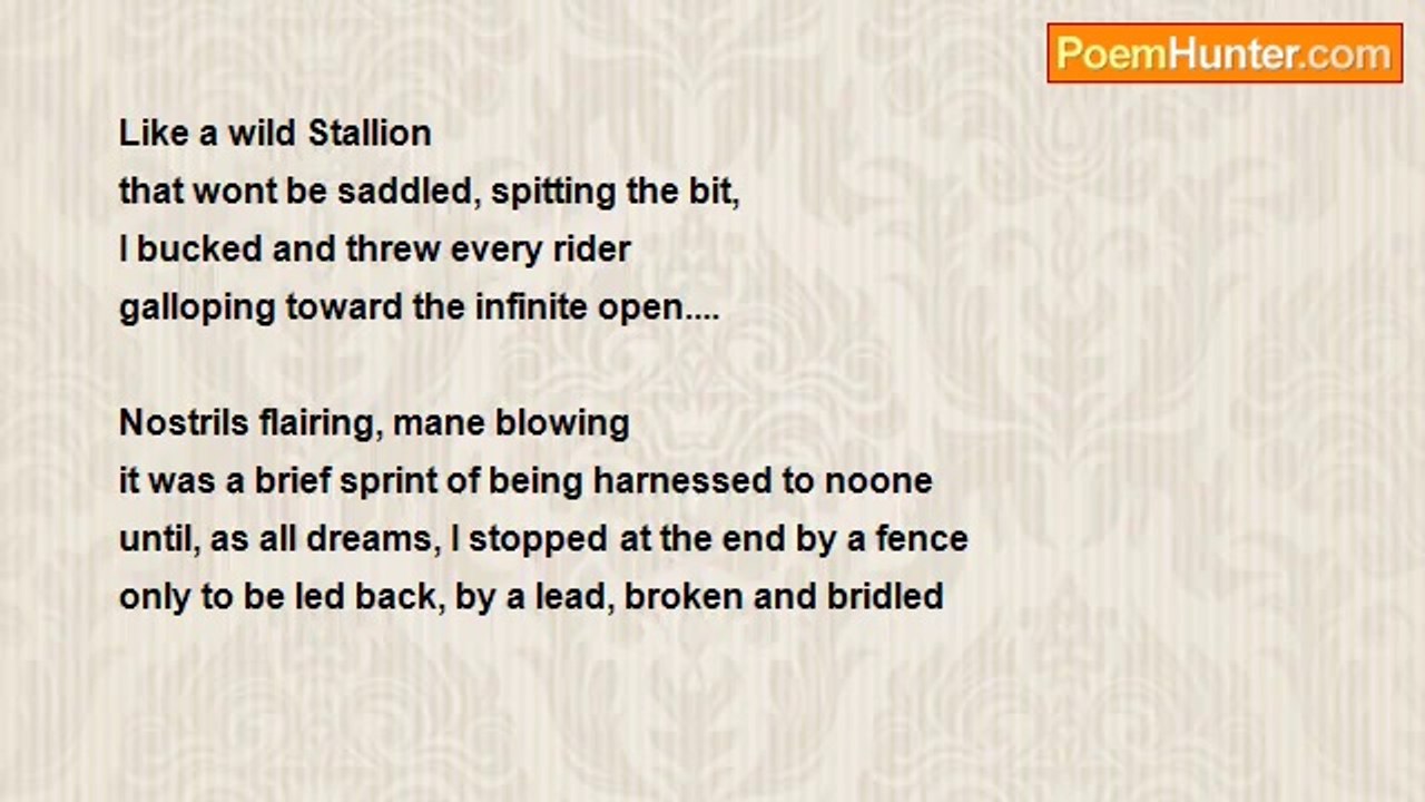John Tansey - Broken...Very short, terse poem