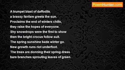 ivor .e hogg - Expectations