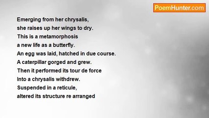 ivor .e hogg - Reach for the Sky