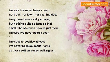 moon batchelder - I'm Sure I've Never Been A Deer