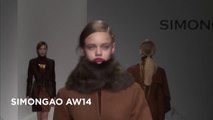 SIMONGAO London Fashion Week - Diana Moroz IMG. Show AW14 Collection HD
