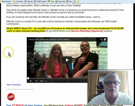 Silver Fox $10 - 4,000 Visitors Your Website YOUR MLM Multi-Level Network Marketing Opportunity