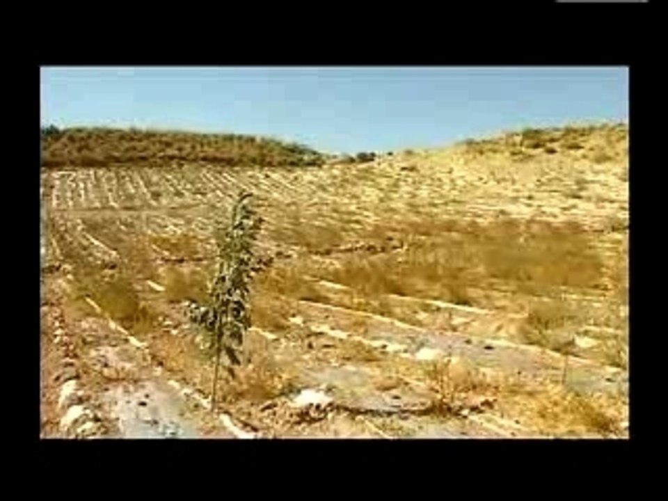 Clip de campagne