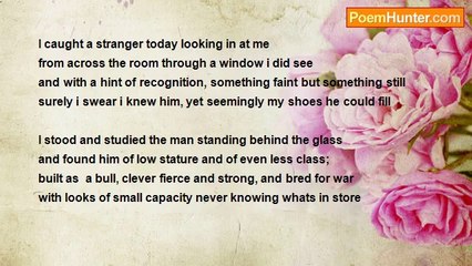 Michael Stevens - Mirror Man