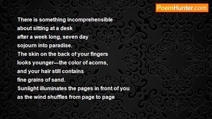 Sebastian Sandok - Between Glades