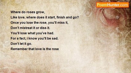 Fernando Zaldivar - The Rose