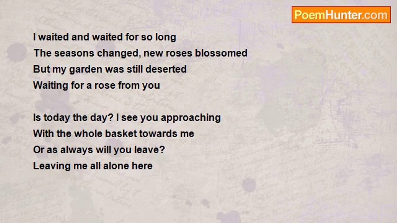 Kavitha Krishnamurthy - The roses