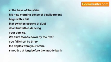 Vincent James Turner - A Day with my Father