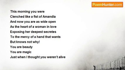 LLM Mbatha - The Flower