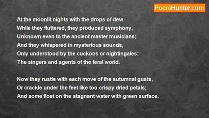 Muhammad Shanazar - An Ode To The Detached Leaves