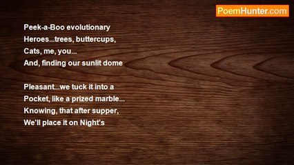 elysabeth faslund - Morning To Night...Marbles