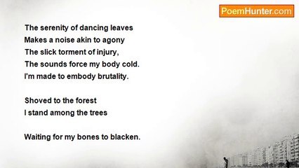 Miss Fairytale - Serenity Blackened