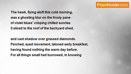 elysabeth faslund - .................The Hawk And The Shed