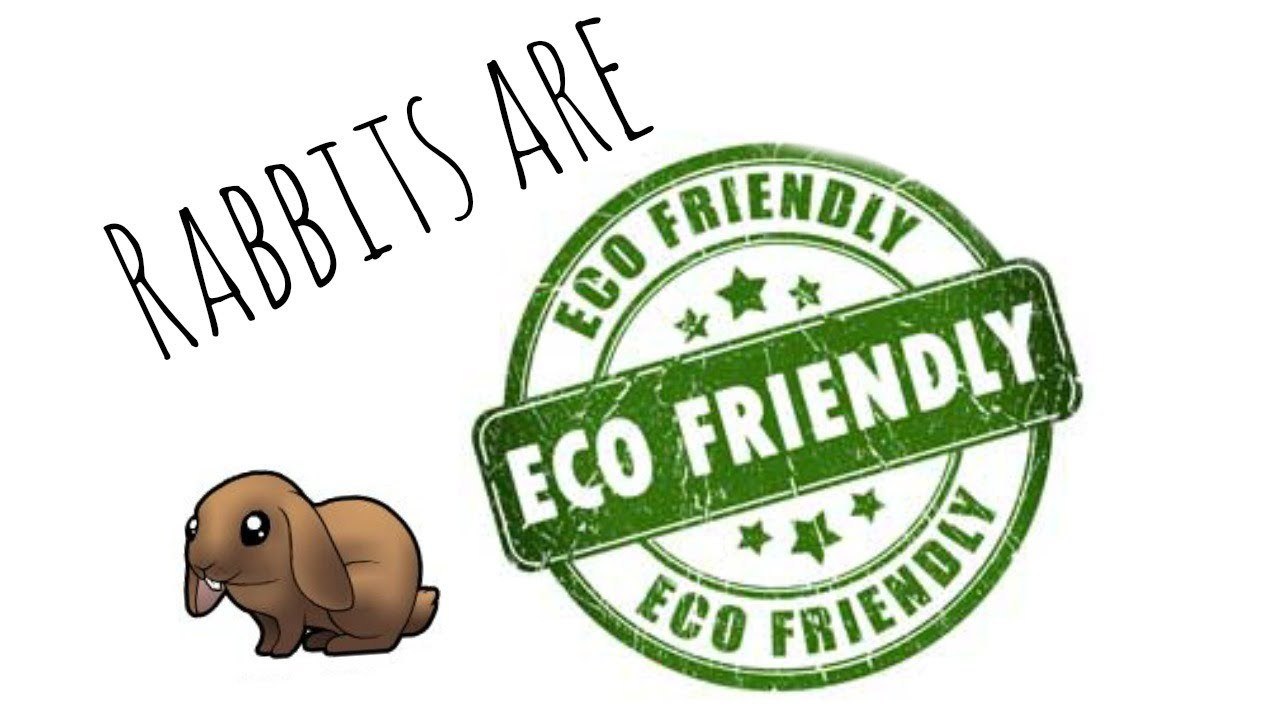 Rabbits are Eco Friendly!
