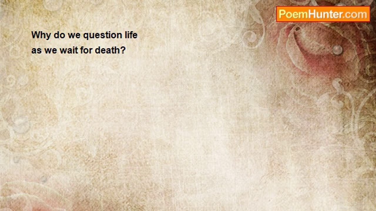 Heather Owens - Question 2