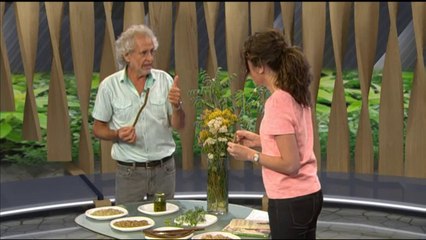 Eapai Terra. Divendres 13 de juny