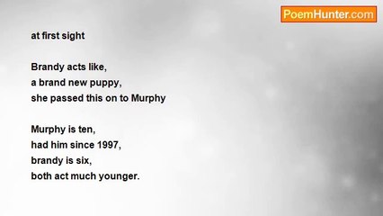 jim foulk - Murphy and Brandy-the love dogs