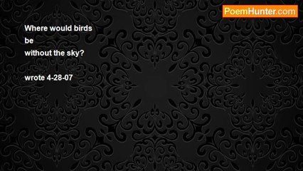 jim foulk - Birds of the sky