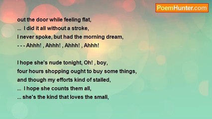 Barry Van Allen - Alternative Lyrics # 2  (A Day With The Wife)