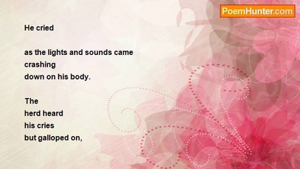 Colin Pickett - Requiem for a Merry-Go-Round