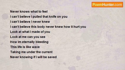 brandon duff - the wind blows