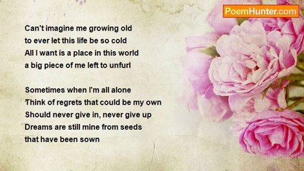 John Bounds - Dreams