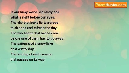 David Harris - We Rarely See