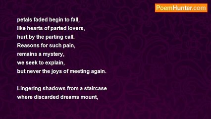 David Harris - The Daily Page