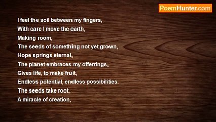 Seth Proch - A Look Into the Mind of a Tree